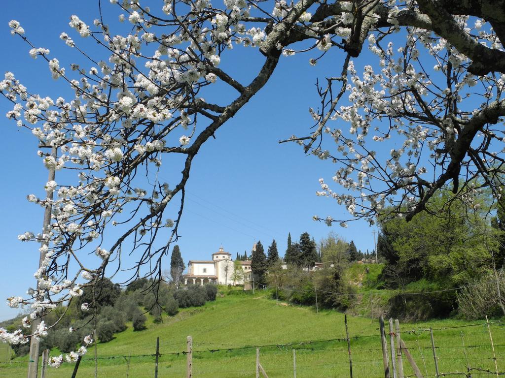 Hotel Le Renaie San Gimignano Exterior foto